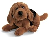 Ramone dog