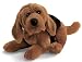 Ramone dog