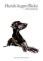 HundeAugenBlicke