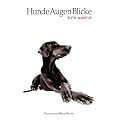 HundeAugenBlicke