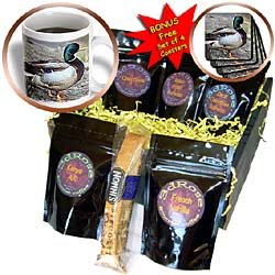 Birds - Duck - Coffee Gift Baskets - Coffee Gift Basket by 3dRose LLC