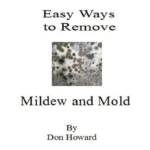 Easy Ways to Remove Mildew and Mold ebook Florastupuett's blog
