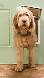 Petsafe Large Premium White Plastic Pet Door