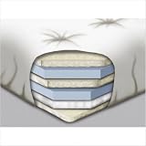 Mattress 8 Cotton / Foam Core (Black) By Fashion Bed Group
