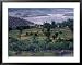 Agriculture Fields, Indus Valley, Pakistan Places Framed Art Poster Print by Gavriel Jecan, 39x31