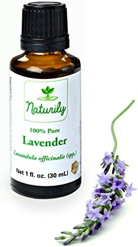 Lavender Oil - Premium Quality Essential Oil (1 Ounce / 30 Ml) - 100% Pure, Undiluted