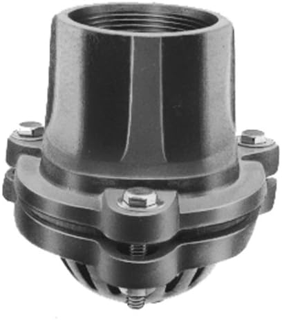 PT Coupling Ductile Iron Complete Assembly Painted Pump Foot Valve, 2-1/2"