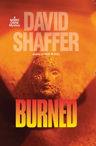 Burned (A Harry Caine Mystery Book 2)