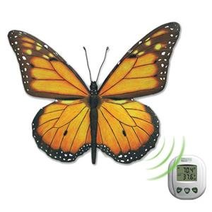 Best Price NEW Sf RF Decorative Thermometer (Indoor & Outdoor Living)