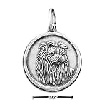 yorkshiire terrier charm