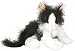 norwegian forest - Webkinz Black and White Cat
