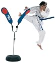Ryko Dual Kick Spinner