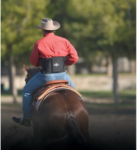 Professionals Choice Comfort Fit Low Back Support