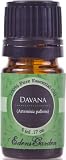 Davana 100% Pure Therapeutic Grade Essential Oil- 5 ml