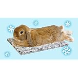 ���i�̏ڍ�