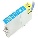 Remanufactured EPSON Cyan Ink Cartridge - T060220