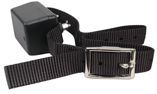 Innotek Automatic No-Bark Collar, Rechargeable
