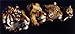 Wild Menagerie. Counted cross stitch kit