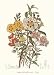 Cistaceae by Unknown. Size 4.60 inches width by 6.92 inches height. High Quality Art Poster Print