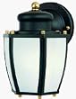 BLACK OUTDOOR FIXTURE (Westinghouse Lighting 64516)