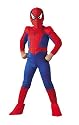 Spider-Man Deluxe Costume