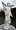 engelfigur.com - xx Wundersch�ner Engel ca.100cm xx Wetterfest xx Angel Skulptur xx Figur xx Engelfigur xx Amor xx Putte xx gr1065