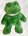 Teenie Teddies Frog 7" - Make Your Own Stuffed Animal Kit w/T-shirt