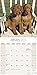 Vizsla Calendar - Only Dog Breed Vizsla Calendar - 2016 Wall calendars - Dog Calendars - Monthly Wall Calendar by Avonside