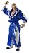 WWE Legends "Mr. Wonderful" Paul Orndorff Collector Figure Series #4