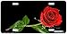 Red Rose on Black-Roses Flower Art-License Plate Car Auto Front Novelty Tag by Jason Fetko from Airstrike