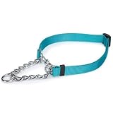 Guardian Gear Martingale Dog Collar, 13-18-Inch, Small, Bluebird