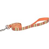 UPC 800443136157 product image for Planet Petco Red Legacy Eco Dog Lead | upcitemdb.com