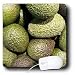 Florene Food And Beverage - Avocados - Mouse Pads
