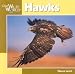 Hawks (Our Wild World)