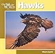 Hawks (Our Wild World)