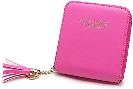 Hflove Schoolgirl Korean Cute Tassels Coin Purse Zipper Coin Bag Wallet Mini Card Bag (Rose)