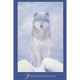 Artic Wolf Wildlife Paper Poster Measures 36 x 24 inches (91.5 x 61 cm)