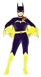 Adult Gotham Girls Batgirl Costume