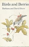 Birds and berries
