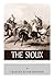 Native American Tribes: The History and Culture of the Sioux