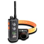 Dogtra 2502 Training & Beeper Remote Collar - 2 Dog Unit