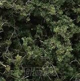 Fine Leaf Foliage, Medium Green/75 cu. in.