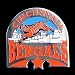 Cincinnati Bengals Pin - NFL Football Fan Shop Sports Team Merchandise