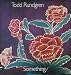 Something/Anything? [Vinyl LP] [Stereo]