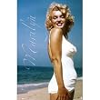 (24x36) Marilyn Monroe Movie (Beach) Poster Print