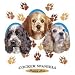 Cocker Spaniel-Puppy Love Adult T-Shirt