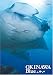 OKINAWA Blue(沖縄ブルー) [DVD]