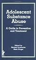 Adolescent Substance Abuse: A Guide to Prevention and Treatment (Child & Youth Services Series)