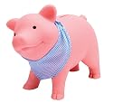 Schylling Rubber Piggy Bank
