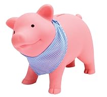 Schylling Rubber Piggy Bank
From Schylling
